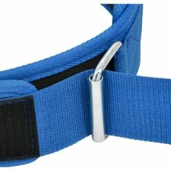 RDX SPORTS RDX RX5 Weightlifting Belt -RDXSPORTS Sales rx5 weightlifting belt blue 8