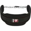 RDX SPORTS RDX T7 Weight Training Dipping Belt With Chain -RDXSPORTS Sales t7 weight training dipping belt chain 5