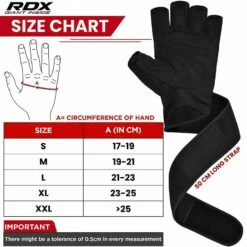 RDX SPORTS RDX L4 Open Finger Weightlifting Gym Gloves 27 RDX SPORTS RDX L4 Open Finger Weightlifting Gym Gloves -RDXSPORTS Sales wgm l4 black 4 3